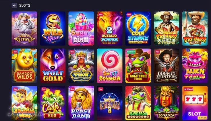 لائسنس یافتہ آفیشل کرکٹ اسکور بیٹنگ اور جیک پاٹ سلاٹ انٹرٹینمنٹ پاکستان